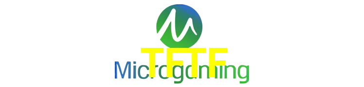 Provedores-Microgaming